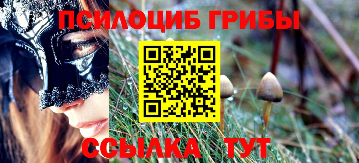 Галлюциногенные грибы прущие грибы  Галлюциногенные грибы ЛСД  Вход с VPN  как найти закладки  Александров 